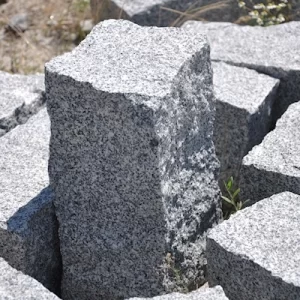 Yeşil çimenli bahçe yolunda, boyunca yerleştirilmiş granit bordür taşları